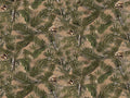 Print Concepts - Real Tree-Pine/Needles/Cones - 10163