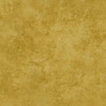 Maywood - High Country - Tonal Blender/Mustard Granite - 102-S