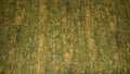 Wilmington - Essentials-Woodgrain/Green-Yellow - 14564 117-1
