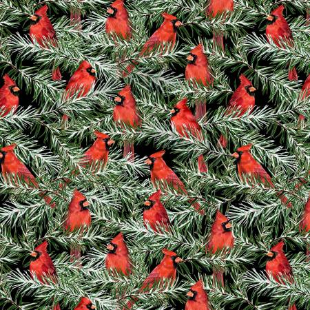Wilmington - Country Cardinals - Red Cardinals/Black - 20054-937