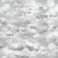 QT - Wingman-Grey Clouds - 23614-K