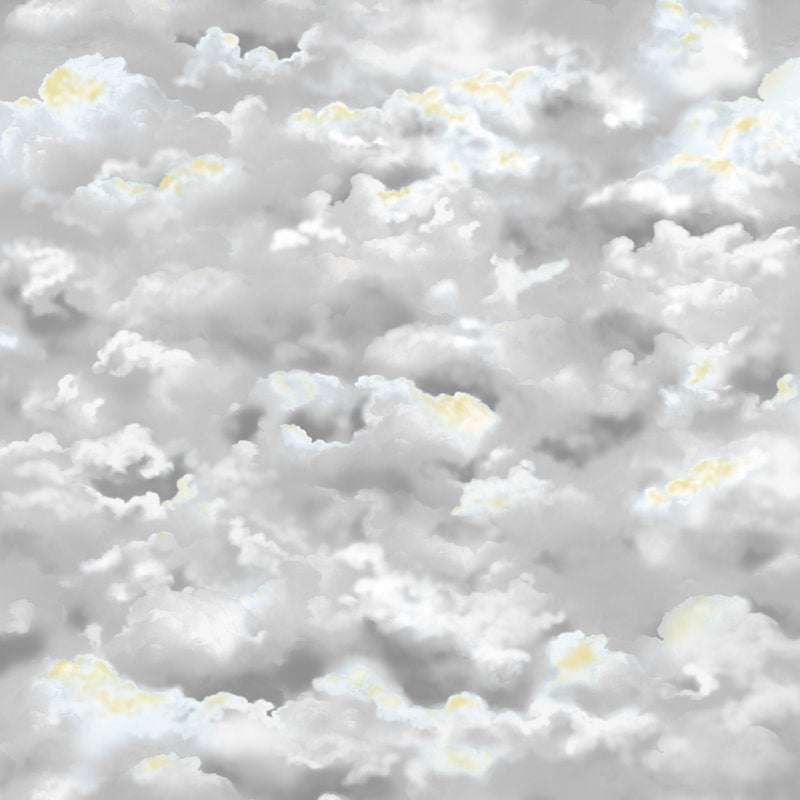 QT - Wingman-Grey Clouds - 23614-K