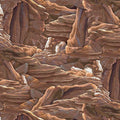 QT - Sundance-Canyons/Clay - 24798-A