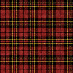 QT - Chip Shot PLAID/Maroon - 28484-M