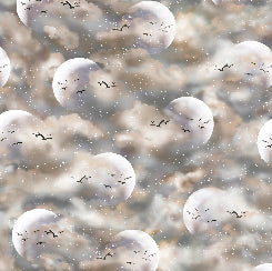 QT - Arctic Dreams - Clouds/Taupe - 28832-E