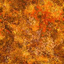 QT - EARTHSCAPES-Textural/Tangerine - 29716-O
