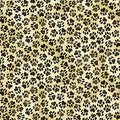 QT~For The Love Of Labs - Dog Prints/Cream - 30311-E