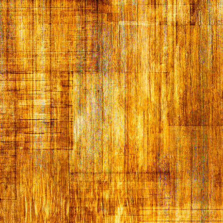 QT Fabrics - Into the Woods - Amber Fabric – Golden Yellow Texture Blender by Dan Morris
