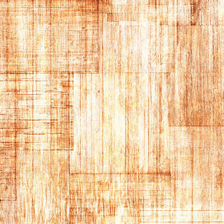 QT Fabrics Into the Woods Peach Fabric – Light Peach Wood Texture Blender by Dan Morris