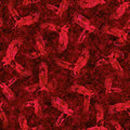 QT Fabrics Patriot Red Fabric – Eagle Tonal Blender by Morris Creative Group