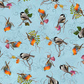 QT - CORNUCOPIA HARVEST - Harvest Birds Tossed/Blue - 31027-B