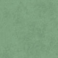Maywood Studio - Shadow Play - Lichen Fabric – Green Blender by Maywood Studio