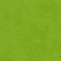 Maywood Studio - Shadow Play - Apple Green Fabric – Green Blender by Maywood Studio