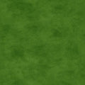 Maywood Studio - Shadow Play - Leap Frog Fabric – Green Blender by Maywood Studio