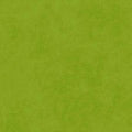 Maywood Studio - Shadow Play - Asparagus Fabric – Green Blender by Maywood Studio