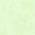 Maywood Studio - Shadow Play - Julep Mint Fabric – Green Blender by Maywood Studio