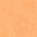Maywood Studio - Shadow Play - Clementine Fabric – Orange Blender by Maywood Studio