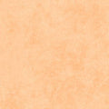 Maywood Studio - Shadow Play - Creamsicle Fabric – Orange Blender by Maywood Studio