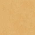 Maywood Studio - Shadow Play - Desert Sand Fabric – Tan Blender by Maywood Studio