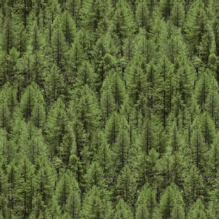 Windham - Landscapes-Whistler Studio-Evergreen - 52115D-X