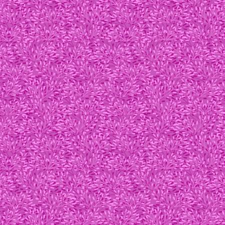 Wilmington - Whimsy-Textured Blender/Fuschia - 75509-633
