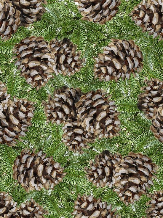 Blank Quilting - Sunrise Ridge-PineCones - 8913-66