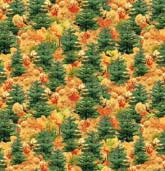 Blank Quilting - Covered Bridges-Scenic-Trees - T9000-66