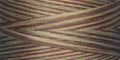 King Tut - 983 Cedars - 40/3 Cotton Quilting Thread - Superior Threads 500yds
