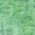 Robert Kaufman - Chalk and Charcoal - Bluegrass Fabric – Green Texture Blender by Jennifer Sampou