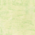 Robert Kaufman - Chalk and Charcoal - Peapod Fabric – Green Texture Blender by Jennifer Sampou
