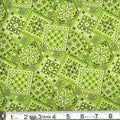 MDG - Western Blazin' Bandana Prints/LIME GREEN - BB04