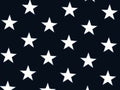 Choice Fabrics Patriotic Stars Large White Stars on Navy 108 Inch Wide Quilt Backing