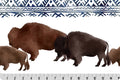 Big Sky Bison Digital Cuddle® Woodland – 58/60" Minky by Shannon Fabrics