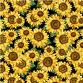 Michael Miller - Sunny Days - Sunflowers Packed/Black - DC10166-BLAC
