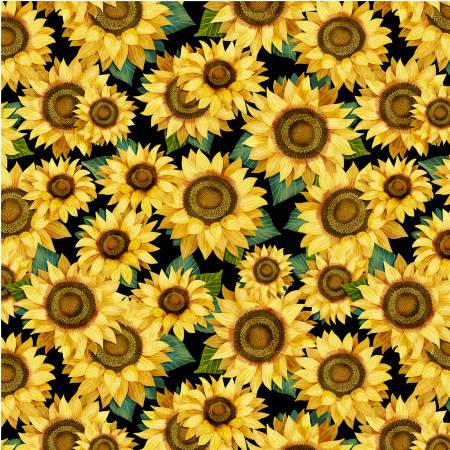 Michael Miller - Sunny Days - Sunflowers Packed/Black - DC10166-BLAC