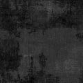 Wilmington Prints - Dry Brush Black Fabric – Black Blender by Danhui Nai