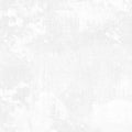 Wilmington Prints - Essential 108 Dry Brush - White on White - 108" Wide Quilt Backing Fabric – Blender by Danhui Nai