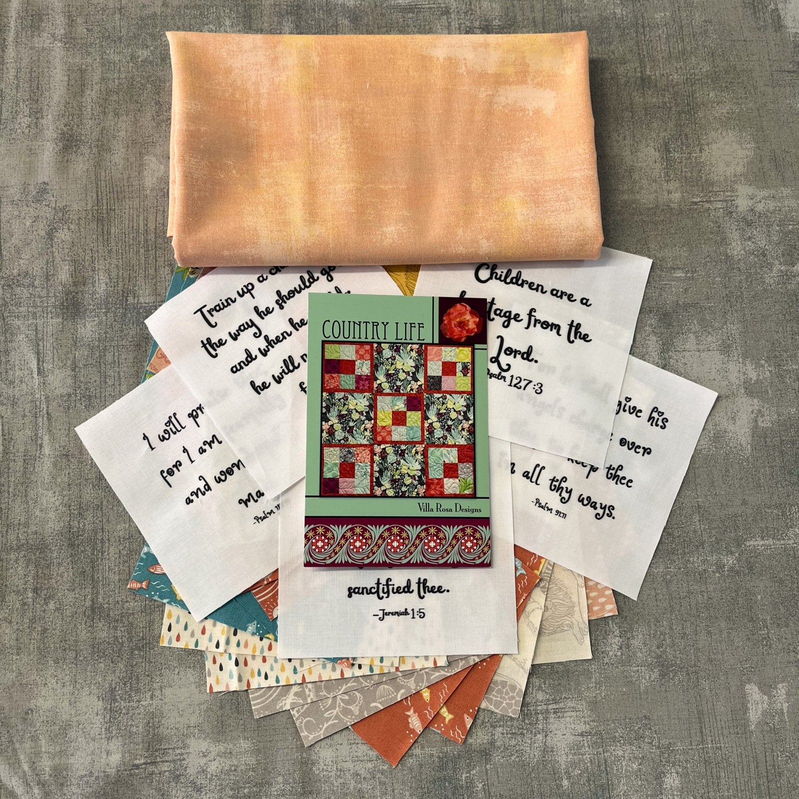 Little Blessings Baby Quilt Kit – Christian Baby Quilt – Country Life Villa Rosa Pattern – Noah’s Ark Charm Pack Quilt – 48" x 48" - for CHQ