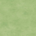 Maywood Studio - Shadow Play - Butterfly Green Fabric – Green Blender by Maywood Studio