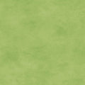 Maywood Studio - Shadow Play - Lime Green Fabric – Green Blender by Maywood Studio
