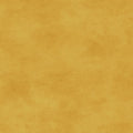 Maywood Studio - Shadow Play - Saffron Fabric – Yellow Blender by Maywood Studio