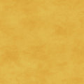 Maywood Studio - Shadow Play - Amber Fabric – Yellow Blender by Maywood Studio