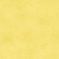 Maywood Studio - Shadow Play - Snapdragon Yellow Fabric – Yellow Blender by Maywood Studio