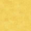 Maywood Studio - Shadow Play - Sunshine Yellow Fabric – Yellow Blender by Maywood Studio