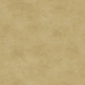 Maywood Studio - Shadow Play - Wood Ash Fabric – Tan Blender by Maywood Studio