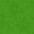 Maywood Studio - Shadow Play - Classic Green Flannel Fabric – Green Blender by Maywood Studio