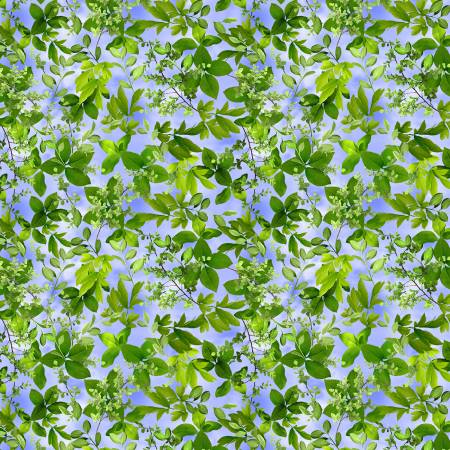 Michael Miller - Flower Splendor Blue Leaf Splendor Fabric – Blue Leaf Print