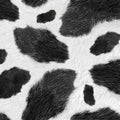 Hoffman Sun Up to Sun Down Fur Black Fabric – Black Novelty Print by Hoffman Fabrics
