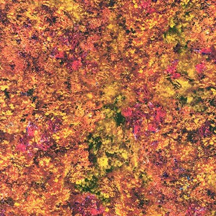 Robert Kaufman - Picture This-Forest Digital - AYKD-17575-44