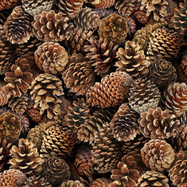 Elizabeth's Studio - Landscape Medley-Pine Cones/Brown - 454 Brown